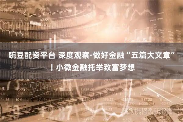 豌豆配资平台 深度观察·做好金融“五篇大文章”丨小微金融托举致富梦想