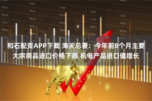 和石配资APP下载 海关总署：今年前8个月主要大宗商品进口价格下跌 机电产品进口值增长