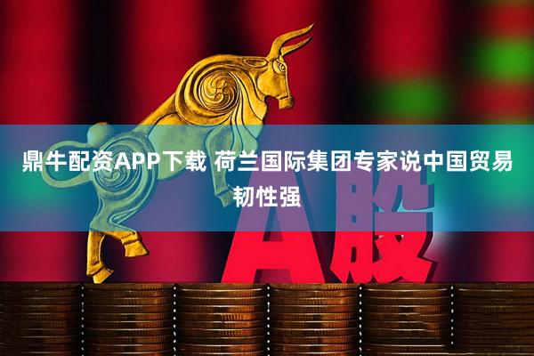 鼎牛配资APP下载 荷兰国际集团专家说中国贸易韧性强