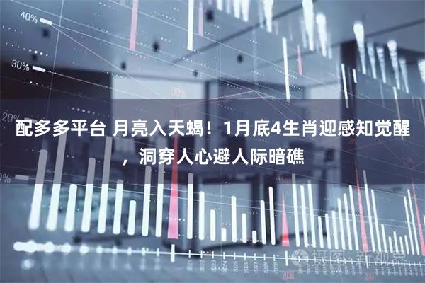 配多多平台 月亮入天蝎！1月底4生肖迎感知觉醒，洞穿人心避人际暗礁