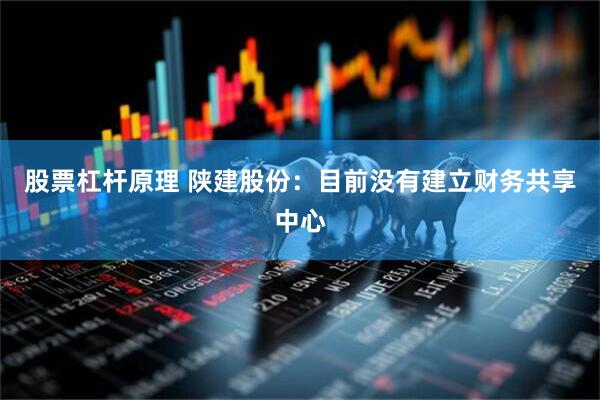 股票杠杆原理 陕建股份：目前没有建立财务共享中心
