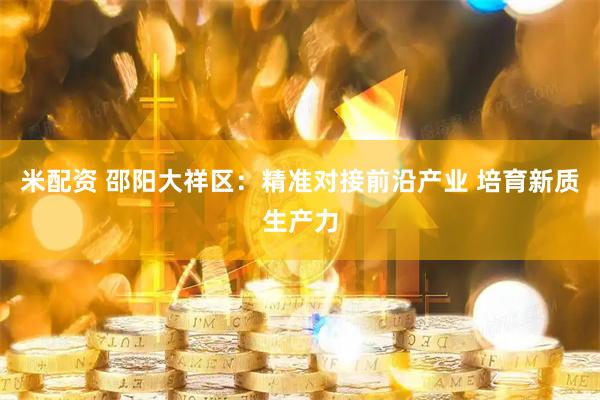 米配资 邵阳大祥区：精准对接前沿产业 培育新质生产力