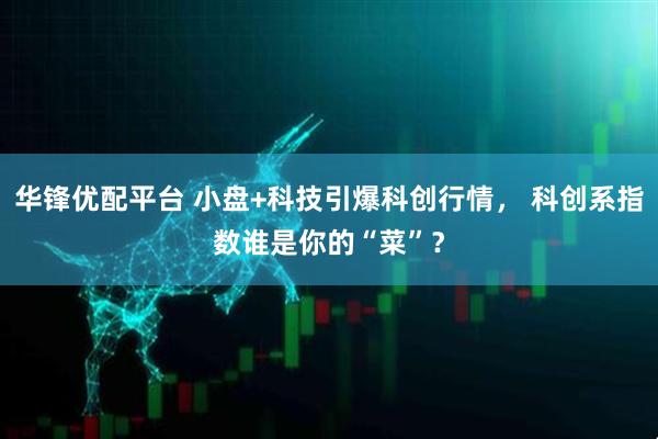 华锋优配平台 小盘+科技引爆科创行情， 科创系指数谁是你的“菜”？