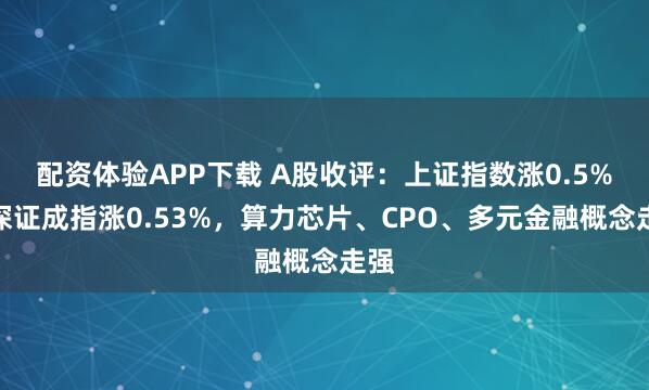 配资体验APP下载 A股收评：上证指数涨0.5%，深证成指涨0.53%，算力芯片、CPO、多元金融概念走强